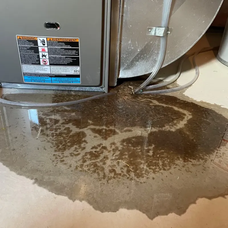 Appliance Leak Cleanup in Ohatchee, AL